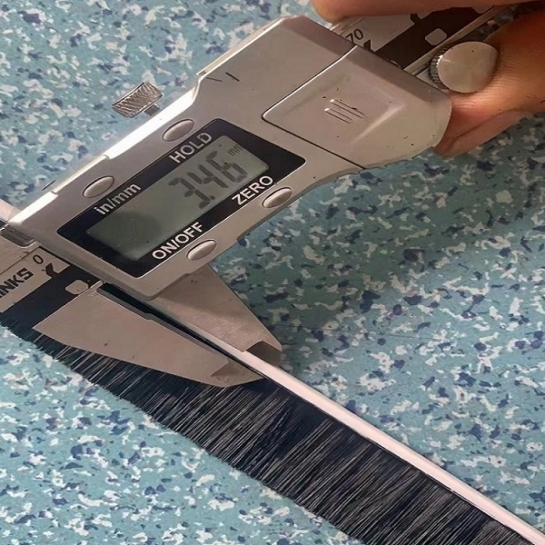 strip brush seal