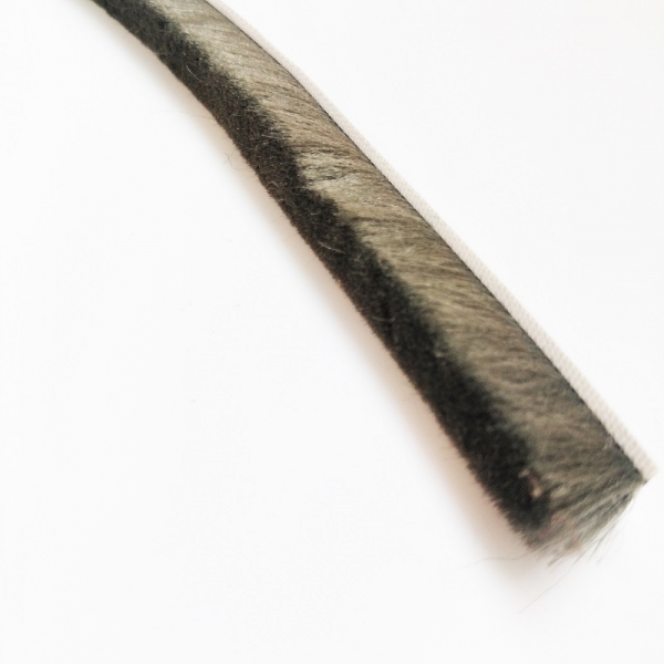 weather strip brush seal